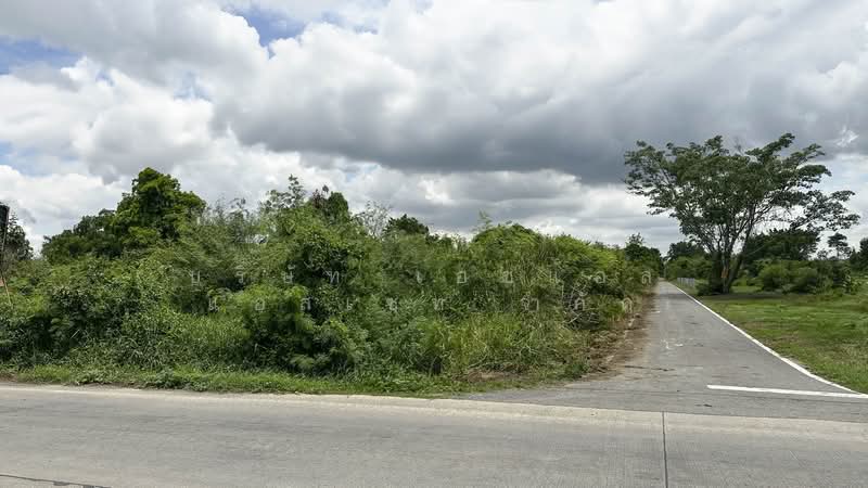 ที่ดิน 7-1-43 ไร่ รังสิต คลองหก ถนน คลองหกตะวันตก 21, Pathum Thani, Khlong Hok, Khlong Luang, Pathum Thani, , 11,772 sqm, Land For Sale, by บริษัท เอชแอล แอสเซท จำกัด, 500376959 - DDproperty.com