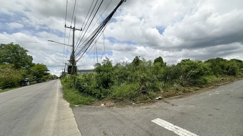 ที่ดิน 7-1-43 ไร่ รังสิต คลองหก ถนน คลองหกตะวันตก 21, Pathum Thani, Khlong Hok, Khlong Luang, Pathum Thani, , 11,772 sqm, Land For Sale, by บริษัท เอชแอล แอสเซท จำกัด, 500376959 - DDproperty.com