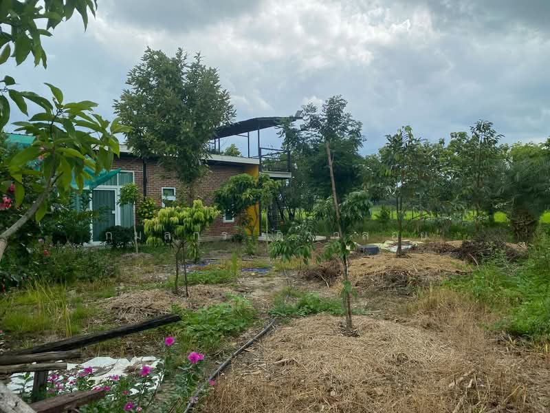 ขายที่ดิน พร้อมบ้าน มิตรไมตรี 6, Bangkok, Nong Chok, Bangkok, , 6,712 sqm, Land For Sale, by กมลกร ดาวลอย, 500377201 - DDproperty.com