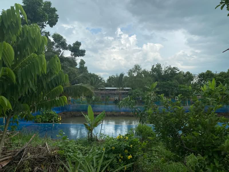 ขายที่ดิน พร้อมบ้าน มิตรไมตรี 6, กรุงเทพ, หนองจอก, กรุงเทพ, 6,712 ตร.ม., ที่ดิน ขาย, โดย กมลกร ดาวลอย, 500377201 - DDproperty.com