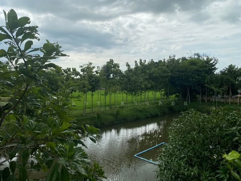 ขายที่ดิน พร้อมบ้าน มิตรไมตรี 6, กรุงเทพ, หนองจอก, กรุงเทพ, 6,712 ตร.ม., ที่ดิน ขาย, โดย กมลกร ดาวลอย, 500377201 - DDproperty.com