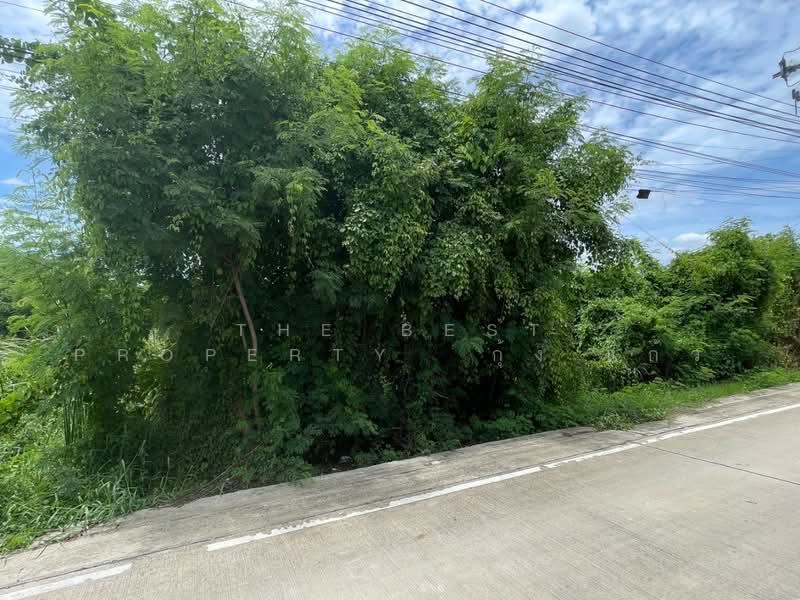 ที่ดินบางกรวย นนทบุรี, นนทบุรี, ศาลากลาง, บางกรวย, นนทบุรี, 320 ตร.ม., ที่ดิน ขาย, โดย The Best Property กุ้งแก้ว, 500377213 - DDproperty.com