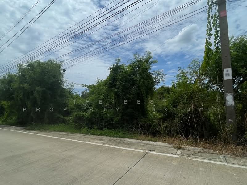 ที่ดินบางกรวย นนทบุรี, นนทบุรี, ศาลากลาง, บางกรวย, นนทบุรี, 320 ตร.ม., ที่ดิน ขาย, โดย The Best Property กุ้งแก้ว, 500377213 - DDproperty.com