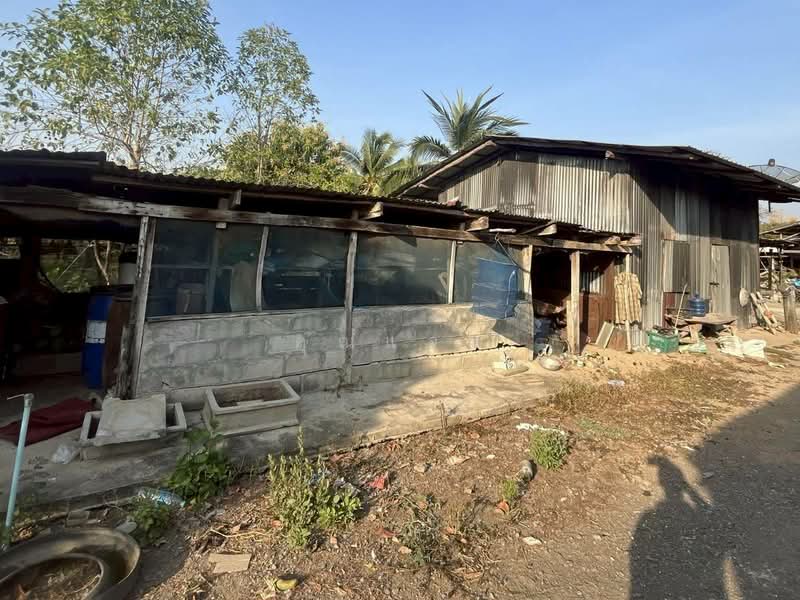 นอกโครงการพิจิตร, Phichit, Wang Samrong, Bang Mun Nak, Phichit, 2 Bedrooms, 25,508 sqm, Single Detached House For Sale, by คุณแจม, 500377260 - DDproperty.com