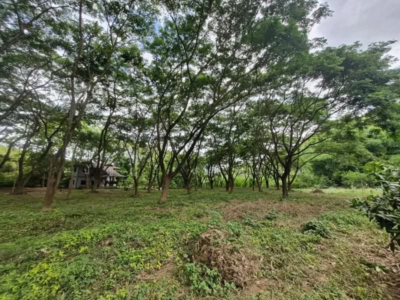 ขายที่ดินพร้อมบ้าน 2 ชั้น ไผ่โทน จังหวัดแพร่, Phrae, Phi Thon, Rong Kwang, Phrae, , 9,508 sqm, Land For Sale, by ปัญญา สมหมาย, 500377277 - DDproperty.com