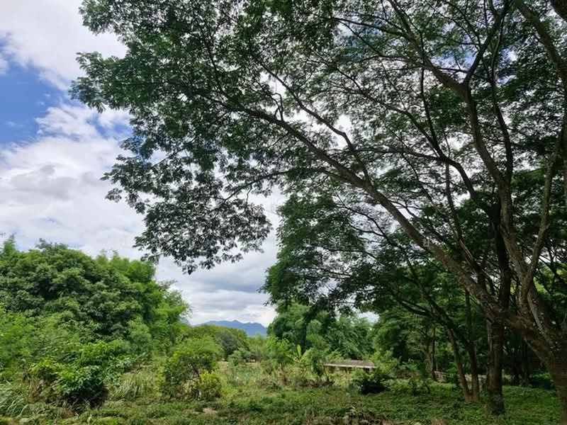 ขายที่ดินพร้อมบ้าน 2 ชั้น ไผ่โทน จังหวัดแพร่, แพร่, ไผ่โทน, ร้องกวาง, แพร่, 9,508 ตร.ม., ที่ดิน ขาย, โดย ปัญญา สมหมาย, 500377277 - DDproperty.com