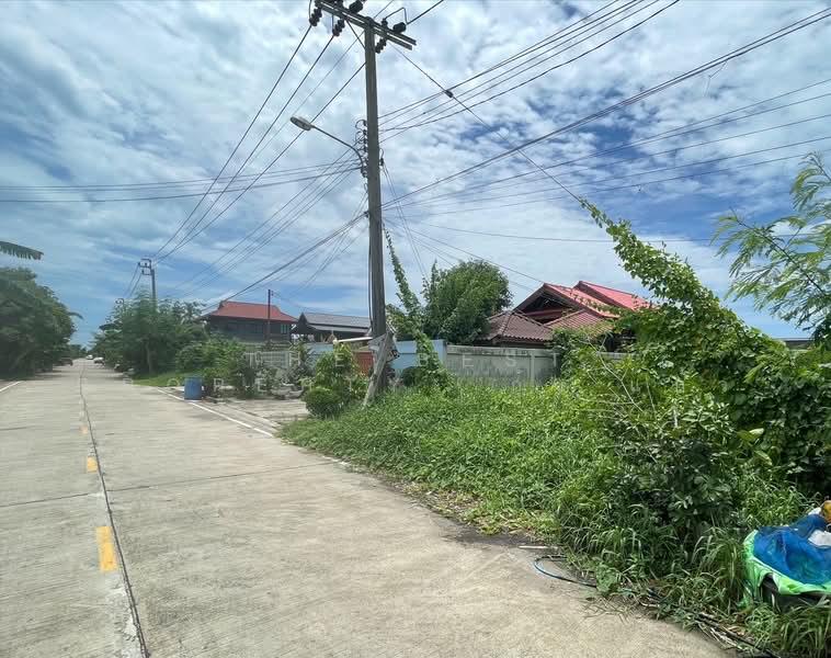 ที่ดินบางกรวย นนทบุรี, Nonthaburi, Sala Klang, Bang Kruai, Nonthaburi, , 300 sqm, Land For Sale, by The Best Property กุ้งแก้ว, 500377318 - DDproperty.com