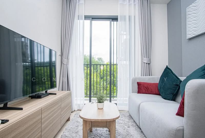 The Base Rise, Phuket, Wichit, Muang Phuket, Phuket, 1 Bedroom, 35 sqm, Condo For Rent, by Connex Property, 500377568 - DDproperty.com