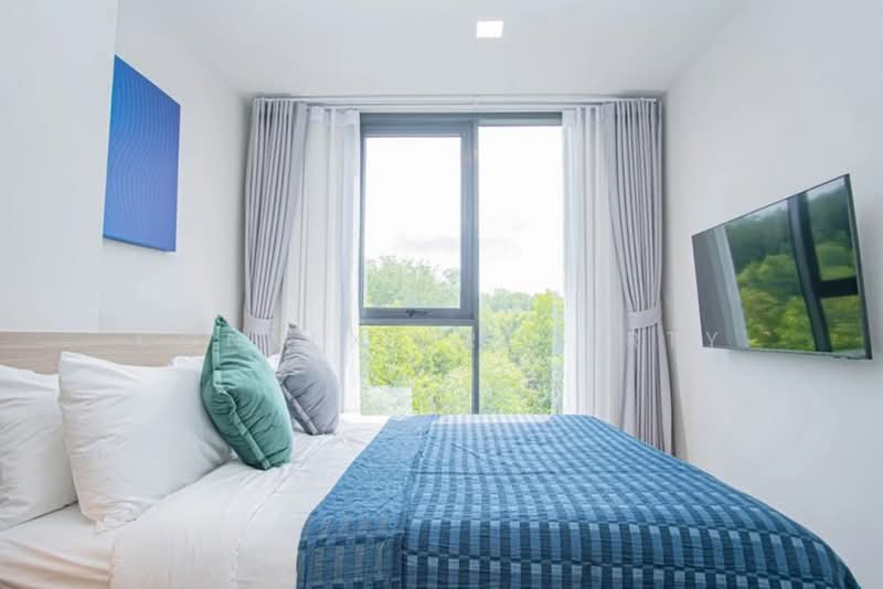 The Base Rise, Phuket, Wichit, Muang Phuket, Phuket, 1 Bedroom, 35 sqm, Condo For Rent, by Connex Property, 500377568 - DDproperty.com