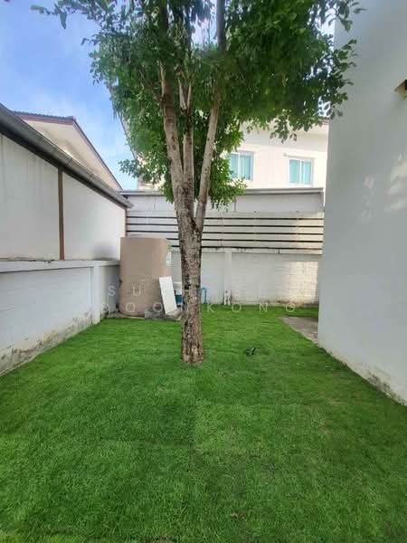 Lanceo Nov Ramintra-Kubon 38, Bangkok, Soi Kubon 38, Bang Chun, Khlong Sam Wa, Bangkok, 3 Bedrooms, 145 sqm, Single Detached House For Rent, by Suthasin Boonkong, 500377738 - DDproperty.com