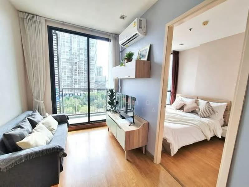 Q House Sukhumvit 79 : คิวเฮาส์ สุขุมวิท 79, กรุงเทพ, 2059 ถนนสุขุมวิท, พระโขนงเหนือ, วัฒนา, กรุงเทพ, 31 ตร.ม., คอนโด ให้เช่า, โดย Natthida Thianchaianan, 500378072 - DDproperty.com