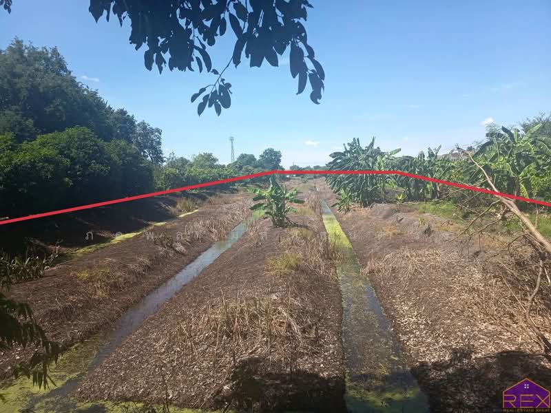 ที่ดินใกล้บรมราชชนนี, Bangkok, ศรีประวัติ, Sala Thammasop, Thawi Watthana, Bangkok, , 7,436 sqm, Land For Sale, by ภคพล มหัทธนดำรง, 500378108 - DDproperty.com