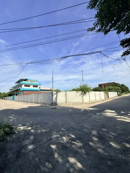 เฉลิมพระเกียรติ ร.9 ซอย 30 แยก 7, กรุงเทพ, เฉลิมพระเกียรติ ร.9 ซอย 30, ดอกไม้, ประเวศ, กรุงเทพ, 800 ตร.ม., ที่ดิน ขาย, โดย ณัฎฐ์ ยศขุน, 500378159 - DDproperty.com