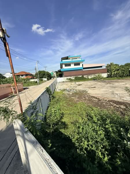 เฉลิมพระเกียรติ ร.9 ซอย 30 แยก 7, กรุงเทพ, เฉลิมพระเกียรติ ร.9 ซอย 30, ดอกไม้, ประเวศ, กรุงเทพ, 800 ตร.ม., ที่ดิน ขาย, โดย ณัฎฐ์ ยศขุน, 500378159 - DDproperty.com