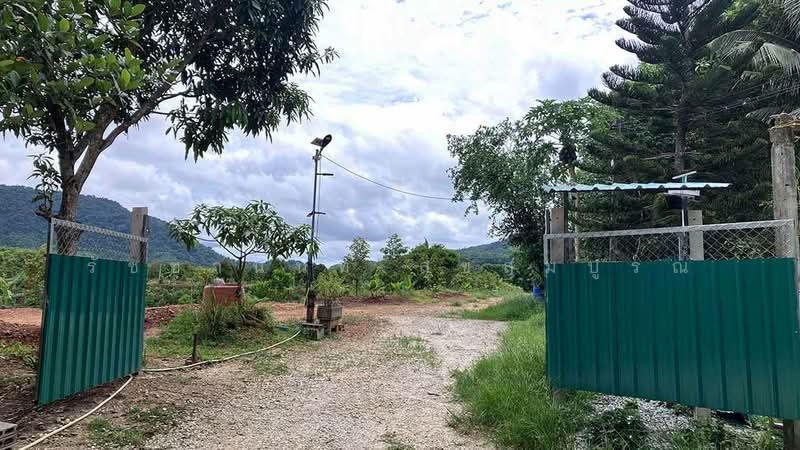 Blue Butterfly Organic Farm, Rayong, Klaeng, Muang Rayong, Rayong, , 27,200 sqm, Land For Sale, by รัชชานนท์ สุขสมบูรณ์, 500378242 - DDproperty.com