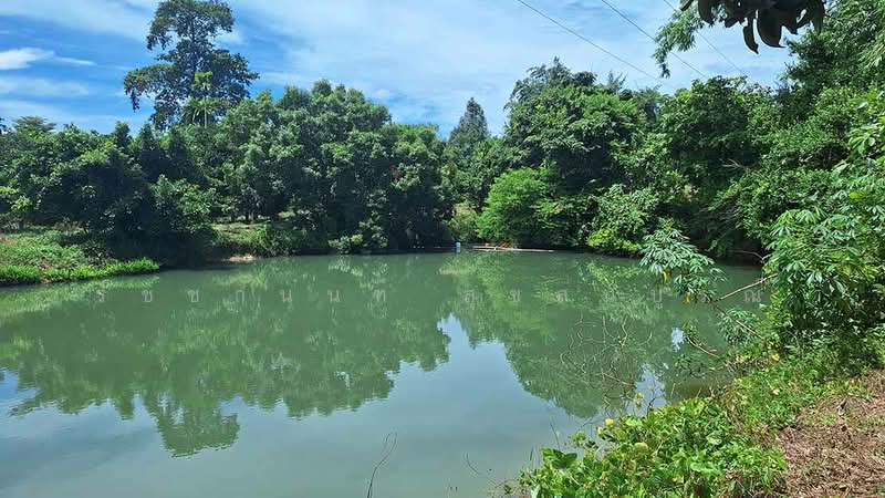 สวนผลไม้ออร์แกนิค บ้านเพ สวนสน, ระยอง, แกลง, เมืองระยอง, ระยอง, 27,200 ตร.ม., ที่ดิน ขาย, โดย รัชชานนท์ สุขสมบูรณ์, 500378242 - DDproperty.com