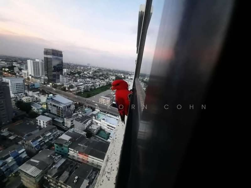 LUMPINI PLACE ปิ่นเกล้า 2, กรุงเทพ, 89 Borommaratchachonnani Road, อรุณอมรินทร์, บางกอกน้อย, กรุงเทพ, 30 ตร.ม., คอนโด ขาย, โดย Jesadakorn Cohn, 500378309 - DDproperty.com