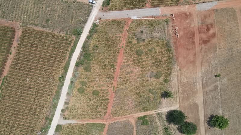 Land in Wang Pong, Pranburi near Khao Tao, Prachuap Khiri Khan, Wang-Pong, Pran Buri, Prachuap Khiri Khan, , 1,600 sqm, Land For Sale, by Kanokkarn Brendle, 500378364 - DDproperty.com