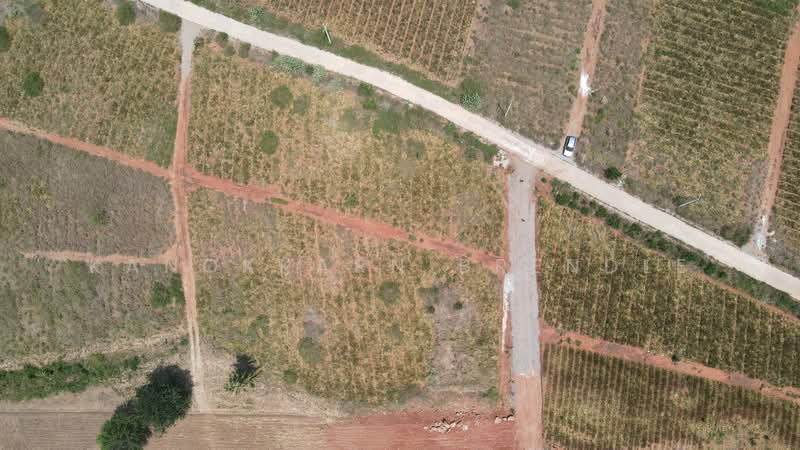 Land in Wang Pong, Pranburi near Khao Tao, Prachuap Khiri Khan, Wang-Pong, Pran Buri, Prachuap Khiri Khan, , 1,600 sqm, Land For Sale, by Kanokkarn Brendle, 500378364 - DDproperty.com