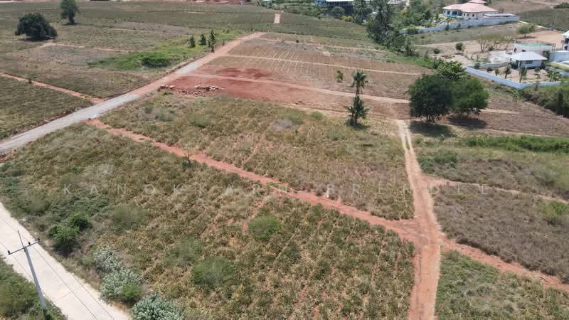 Land in Wang Pong, Pranburi near Khao Tao, Prachuap Khiri Khan, Wang-Pong, Pran Buri, Prachuap Khiri Khan, , 1,600 sqm, Land For Sale, by Kanokkarn Brendle, 500378364 - DDproperty.com
