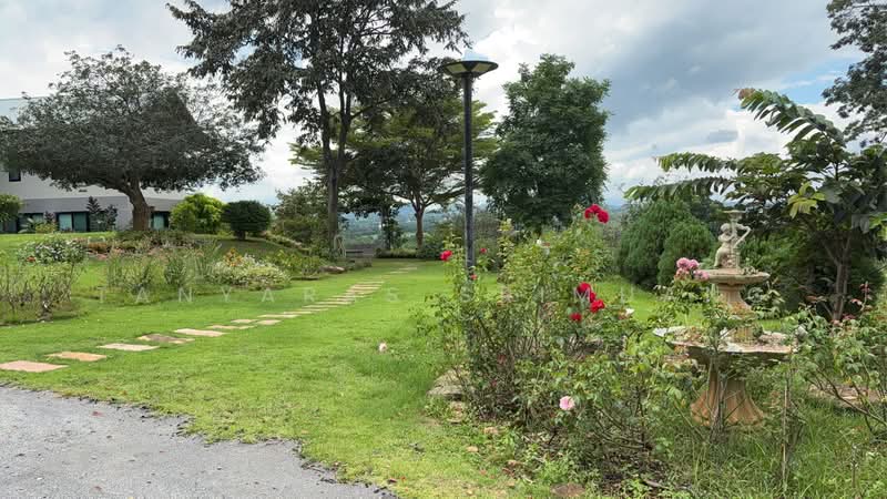 Land For U, Nakhon Ratchasima, Wang Zai, Pak Chong, Nakhon Ratchasima, 3 Bedrooms, 280 sqm, Single Detached House For Sale, by Tanyaras Srimuang, 500378797 - DDproperty.com