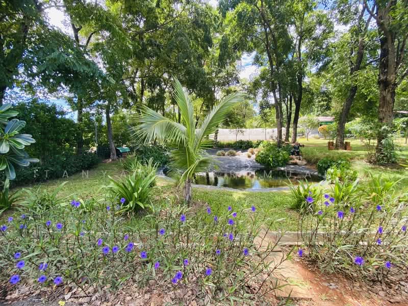Land For U, Nakhon Ratchasima, Wang Zai, Pak Chong, Nakhon Ratchasima, 3 Bedrooms, 280 sqm, Single Detached House For Sale, by Tanyaras Srimuang, 500378797 - DDproperty.com