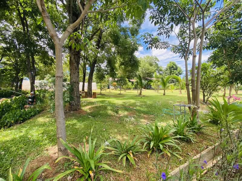 Land For U, นครราชสีมา, วังไทร, ปากช่อง, นครราชสีมา, 280 ตร.ม., บ้านเดี่ยว ขาย, โดย Tanyaras Srimuang, 500378797 - DDproperty.com