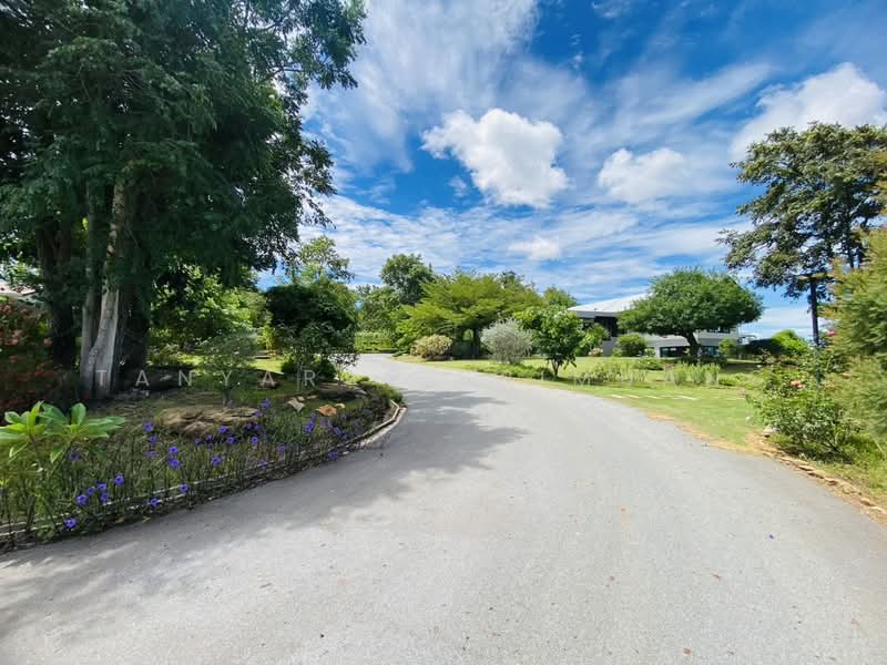 Land For U, Nakhon Ratchasima, Wang Zai, Pak Chong, Nakhon Ratchasima, 3 Bedrooms, 280 sqm, Single Detached House For Sale, by Tanyaras Srimuang, 500378797 - DDproperty.com