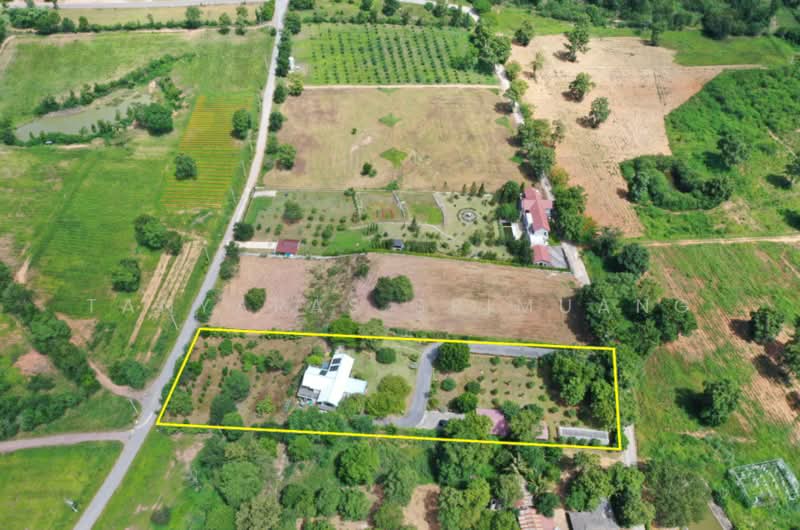 Land For U, นครราชสีมา, วังไทร, ปากช่อง, นครราชสีมา, 280 ตร.ม., บ้านเดี่ยว ขาย, โดย Tanyaras Srimuang, 500378797 - DDproperty.com