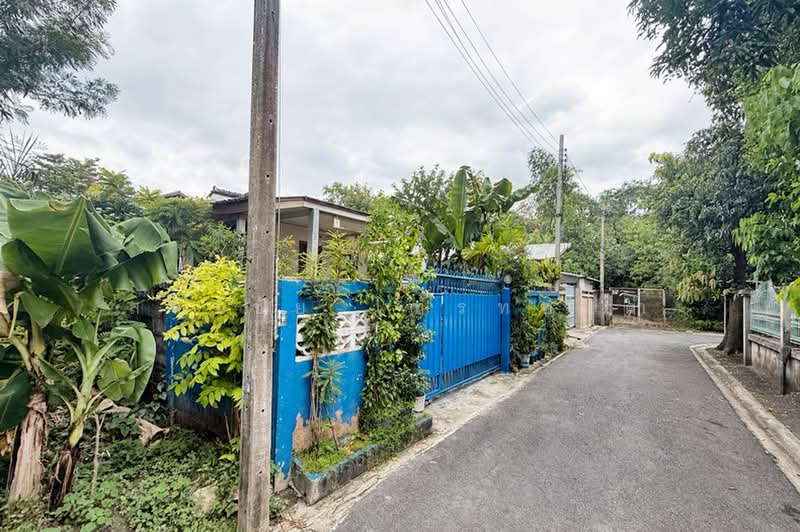 ขายบ้านเดี่ยวชั้นเดียว 60 ตร.ว. ถนนสุขาภิบาล 5 ซอย 32 แยก 4 ใกล้ทางด่วนด่านสุขาภิบาล 5, กรุงเทพ, สุขาภิบาล 5 ซอย 32 แยก 4, ออเงิน, สายไหม, กรุงเทพ, 120 ตร.ม., บ้านเดี่ยว ขาย, โดย สง่าชัย ไทรทองคำ, 500378812 - DDproperty.com