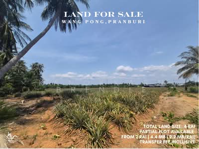 ขาย - Land in Wang Pong, Pranburi, ประจวบคีรีขันธ์