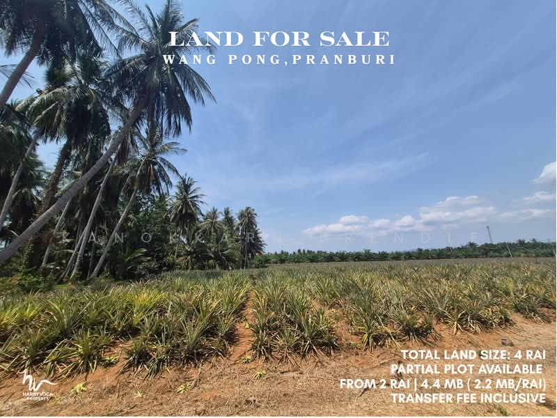 Land in Wang Pong, Pranburi, Prachuap Khiri Khan, Wang-Pong, Pran Buri, Prachuap Khiri Khan, , 3,200 sqm, Land For Sale, by Kanokkarn Brendle, 500379110 - DDproperty.com
