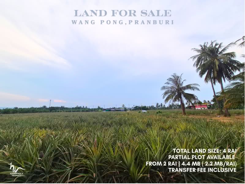 Land in Wang Pong, Pranburi, Prachuap Khiri Khan, Wang-Pong, Pran Buri, Prachuap Khiri Khan, , 3,200 sqm, Land For Sale, by Kanokkarn Brendle, 500379110 - DDproperty.com