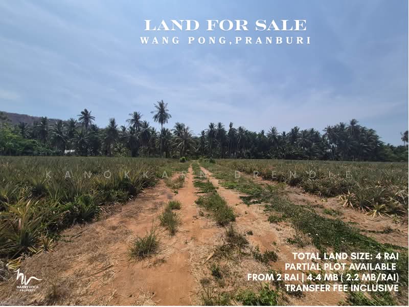 Land in Wang Pong, Pranburi, Prachuap Khiri Khan, Wang-Pong, Pran Buri, Prachuap Khiri Khan, , 3,200 sqm, Land For Sale, by Kanokkarn Brendle, 500379110 - DDproperty.com
