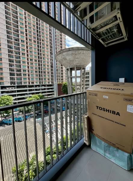Aspire Onnut Station, Bangkok, Sukhumvit Road, Phra Kanong, Khlong Toei, Bangkok, 1 Bedroom, 34 sqm, Condo For Rent, by คุณ ณิชาภา, 500379238 - DDproperty.com