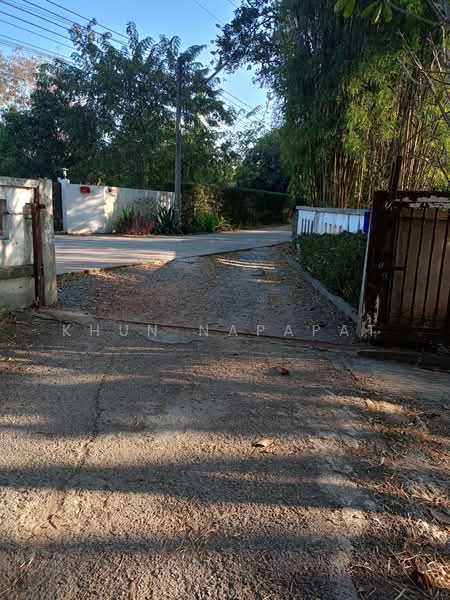 Lanna-Style House for Rent in Maerim, Chiang Mai, Huai Sai, Mae Rim, Chiang Mai, 2 Bedrooms, 350 sqm, Single Detached House For Rent, by Khun Napapat, 500379267 - DDproperty.com