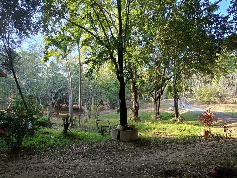 Lanna-Style House for Rent in Maerim, Chiang Mai, Huai Sai, Mae Rim, Chiang Mai, 2 Bedrooms, 350 sqm, Single Detached House For Rent, by Khun Napapat, 500379267 - DDproperty.com
