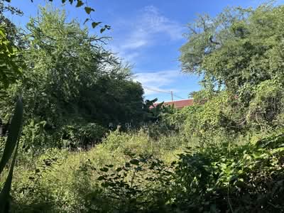 ขาย - ที่ดินว่างเปล่าอุดรธานี, อุดรธานี