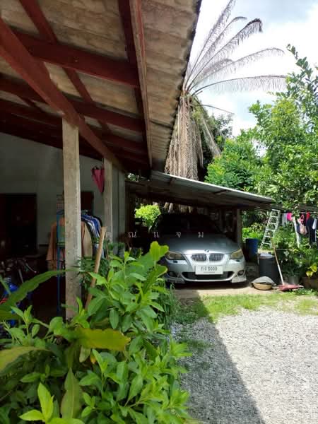 นอกโครงการพังงา, Phangnga, Le, Kapong, Phangnga, 3 Bedrooms, 2,640 sqm, Single Detached House For Sale, by คุณแจม, 500379286 - DDproperty.com