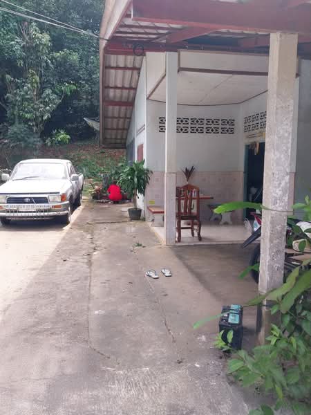 นอกโครงการพังงา, Phangnga, Le, Kapong, Phangnga, 3 Bedrooms, 2,640 sqm, Single Detached House For Sale, by คุณแจม, 500379286 - DDproperty.com