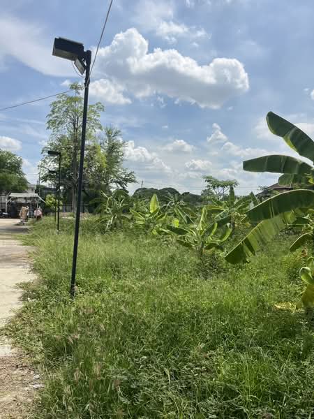 ที่ดินกรุงเทพกรีฑา 18 แยก 3, กรุงเทพ, ซอย กรุงเทพกรีฑา 18 แยก 3, สะพานสูง, สะพานสูง, กรุงเทพ, 1,600 ตร.ม., ที่ดิน ขาย, โดย ธีรรัชต์ ศรีเล็กดี, 500379344 - DDproperty.com