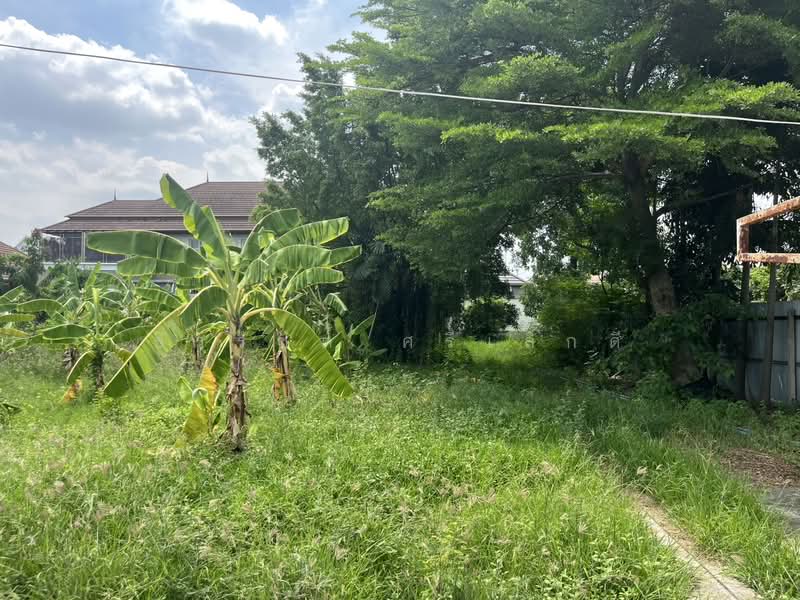 Land at Bangkok Kreetha 18, Intersection 3, Bangkok, ซอย กรุงเทพกรีฑา 18 แยก 3, Saphan Sung, Saphan Sung, Bangkok, , 1,600 sqm, Land For Sale, by ธีรรัชต์ ศรีเล็กดี, 500379344 - DDproperty.com