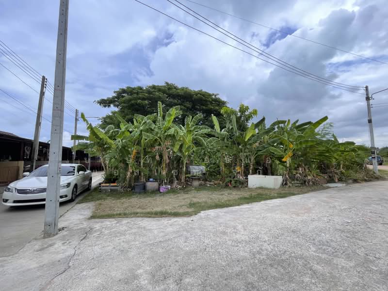 ที่ดินเปล่า 78 ตารางวา หนองปรือ บางละมุง (แปลงมุม), Chon Buri (Pattaya), Bang Lamung, Bang Lamung (Pattaya), Chon Buri (Pattaya), , 312 sqm, Land For Sale, by บริษัท เอชแอล แอสเซท จำกัด, 500379541 - DDproperty.com