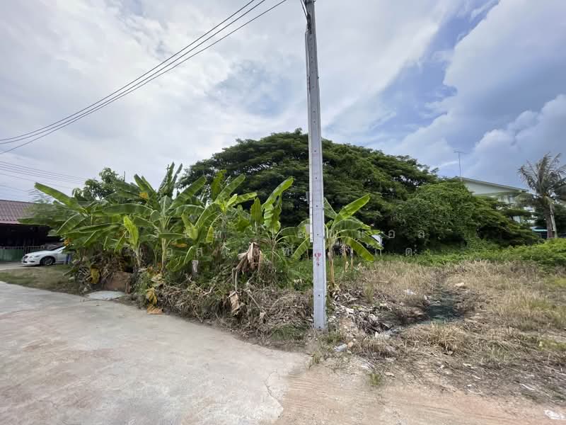 ที่ดินเปล่า 78 ตารางวา หนองปรือ บางละมุง (แปลงมุม), Chon Buri (Pattaya), Bang Lamung, Bang Lamung (Pattaya), Chon Buri (Pattaya), , 312 sqm, Land For Sale, by บริษัท เอชแอล แอสเซท จำกัด, 500379541 - DDproperty.com