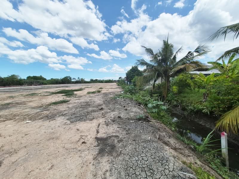 ที่ดินนางตะเคียน สมุทรสงคราม, Samut Songkhram, Nang Ta Khian, Muang Samut Songkhram, Samut Songkhram, , 452 sqm, Land For Sale, by The Best Property อิ๋ว, 500379549 - DDproperty.com