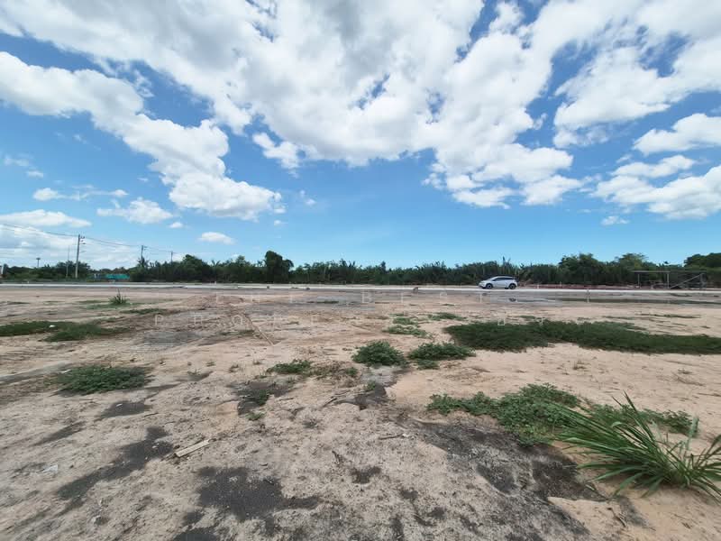 ที่ดินนางตะเคียน สมุทรสงคราม, Samut Songkhram, Nang Ta Khian, Muang Samut Songkhram, Samut Songkhram, , 452 sqm, Land For Sale, by The Best Property อิ๋ว, 500379549 - DDproperty.com