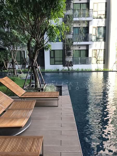 Rhythm Sukhumvit 36-38, Bangkok, 55 Soi Sukhumvit 36, Sukhumvit Road, Phra Kanong, Khlong Toei, Bangkok, 1 Bedroom, 33 sqm, Condo For Rent, by Lalipat Sappayabovornnan, 500379618 - DDproperty.com
