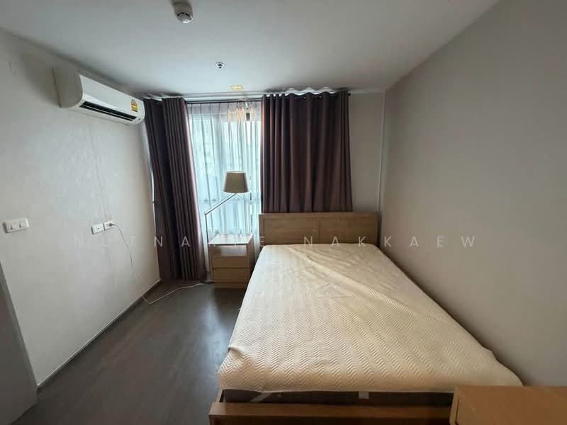 IDEO Sukhumvit 93, Bangkok, 2331 Soi Sukhumvit 93, Bang Chak, Phra Khanong, Bangkok, 1 Bedroom, 35 sqm, Condo For Rent, by Nutnaree Nakkaew, 500379738 - DDproperty.com