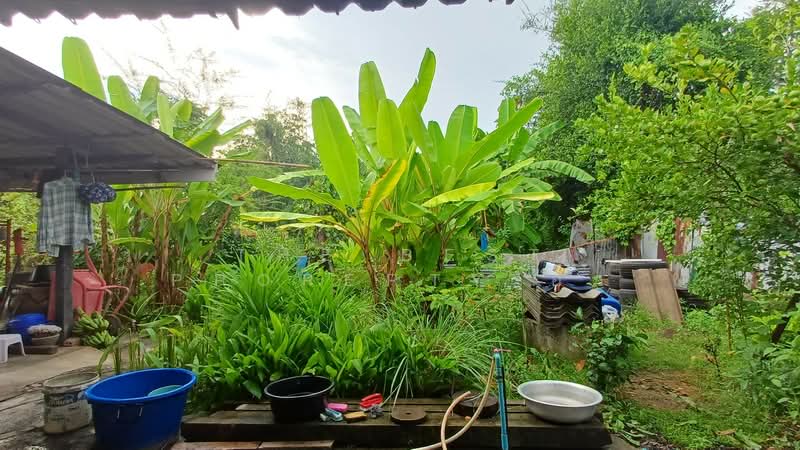 บ้านเดี่ยวเจดีย์หัก ราชบุรี, ราชบุรี, เจดีย์หัก, เมืองราชบุรี, ราชบุรี, 150 ตร.ม., บ้านเดี่ยว ขาย, โดย The Best Property อิ๋ว, 500379800 - DDproperty.com
