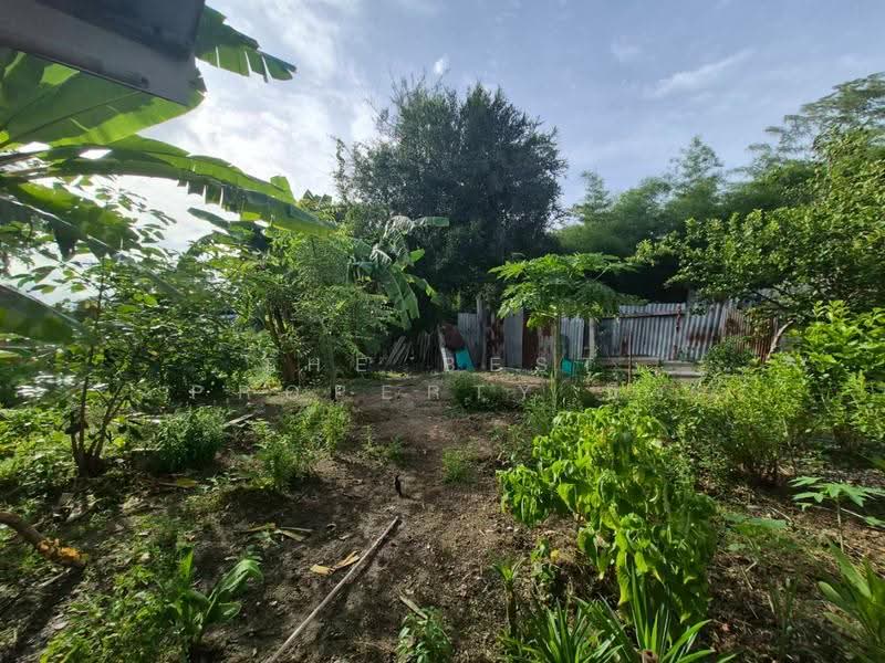 บ้านเดี่ยวเจดีย์หัก ราชบุรี, Ratchaburi, Chedi Hak, Muang Ratchaburi, Ratchaburi, 4 Bedrooms, 150 sqm, Single Detached House For Sale, by The Best Property อิ๋ว, 500379800 - DDproperty.com